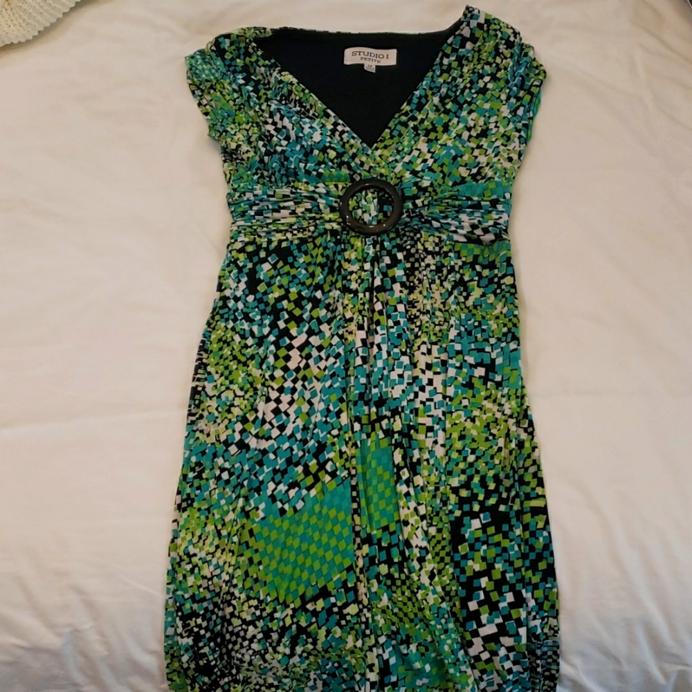 Size 6 petite woman's dress
